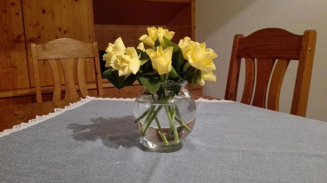 Oberwössen Ferienwohnung Schmid-Hof מראה חיצוני תמונה